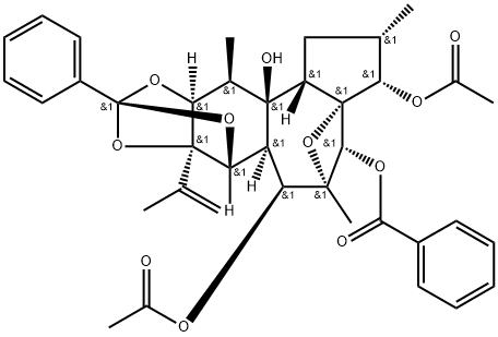 Trigothysoid L Structure