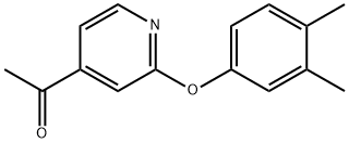 4-Acetyl-2-(3,4-dimethylphenoxy) pyridine 구조식 이미지