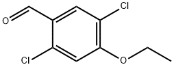 Benzaldehyde, 2,5-dichloro-4-ethoxy- Structure