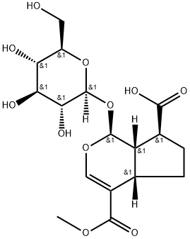 11-Methylforsythide 구조식 이미지