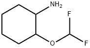 2-(difluoromethoxy)cyclohexan-1-amine Structure