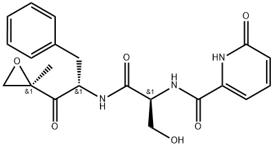 KZR-504 Structure