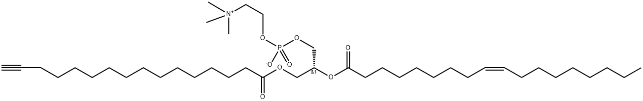 INDEX NAME NOT YET ASSIGNED Structure