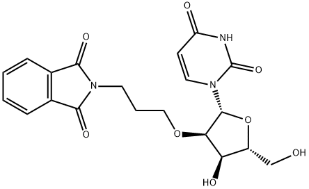 Uridine, 2'-O-[3-(1,3-dihydro-1,3-dioxo-2H-isoindol-2-yl)propyl]- (9CI) 구조식 이미지