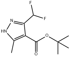 tert-Butyl 3-(difluoromethyl)-5-methyl-1H-pyrazole-4-carboxylate 구조식 이미지