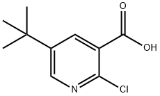 3-Pyridinecarboxylic acid, 2-chloro-5-(1,1-dimethylethyl)- Structure