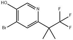 3-Pyridinol, 4-bromo-6-(2,2,2-trifluoro-1,1-dimethylethyl)- Structure