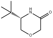 (5S)-5-(1,1-diMethylethyl-3-Morpholinone Structure