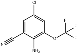 Benzonitrile, 2-amino-5-chloro-3-(trifluoromethoxy)- Structure