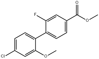 [1,1'-Biphenyl]-4-carboxylic acid, 4'-chloro-2-fluoro-2'-methoxy-, methyl ester Structure