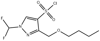 3-(butoxymethyl)-1-(difluoromethyl)-1H-pyrazole-4-sulfonyl chloride Structure