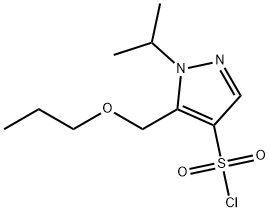 1-isopropyl-5-(propoxymethyl)-1H-pyrazole-4-sulfonyl chloride Structure