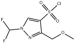 1-(difluoromethyl)-3-(methoxymethyl)-1H-pyrazole-4-sulfonyl chloride Structure