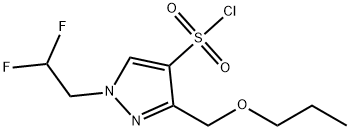 1-(2,2-difluoroethyl)-3-(propoxymethyl)-1H-pyrazole-4-sulfonyl chloride Structure