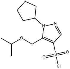 1-cyclopentyl-5-(isopropoxymethyl)-1H-pyrazole-4-sulfonyl chloride Structure