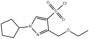 1-cyclopentyl-3-(ethoxymethyl)-1H-pyrazole-4-sulfonyl chloride Structure