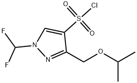 1-(difluoromethyl)-3-(isopropoxymethyl)-1H-pyrazole-4-sulfonyl chloride Structure