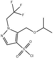 5-(isopropoxymethyl)-1-(2,2,2-trifluoroethyl)-1H-pyrazole-4-sulfonyl chloride Structure