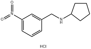 N-[(3-nitrophenyl)methyl]cyclopentanamine hydrochloride Structure