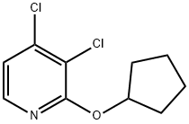 Pyridine, 3,4-dichloro-2-(cyclopentyloxy)- Structure