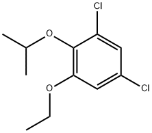 Benzene, 1,5-dichloro-3-ethoxy-2-(1-methylethoxy)- Structure