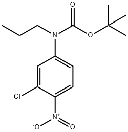 Carbamic acid, N-(3-chloro-4-nitrophenyl)-N-propyl-, 1,1-dimethylethyl ester Structure