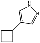 1H-Pyrazole, 4-cyclobutyl- Structure