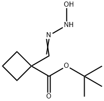 Cyclobutanecarboxylic acid, 1-[(hydroxyamino)iminomethyl]-, 1,1-dimethylethyl ester Structure