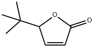 2(5H)-Furanone, 5-(1,1-dimethylethyl)- Structure