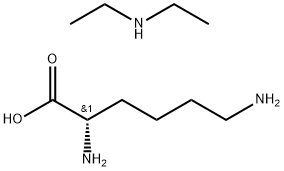 INDEX NAME NOT YET ASSIGNED Structure