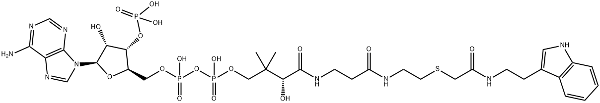 Coenzyme A, S-[2-[[2-(1H-indol-3-yl)ethyl]amino]-2-oxoethyl]- Structure