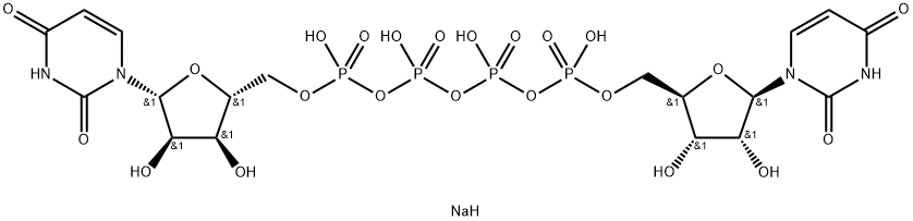 INS 365 Structure