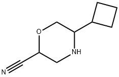 2-Morpholinecarbonitrile,5-cyclobutyl- 구조식 이미지