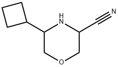 3-Morpholinecarbonitrile, 5-cyclobutyl- 구조식 이미지