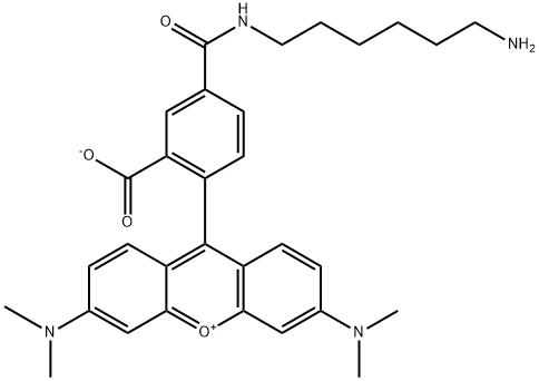 TAMRA amine, 5-isomer 구조식 이미지