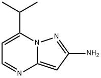 7-isopropylpyrazolo[1,5-a]pyrimidin-2-amine Structure