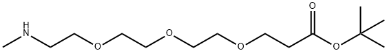 MeNH-PEG3-CH2CH2COOtBu Structure