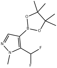 5-(difluoromethyl)-1-methyl-4-(tetramethyl-1,3,2-dioxaborolan-2-yl)-1H-pyrazole 구조식 이미지