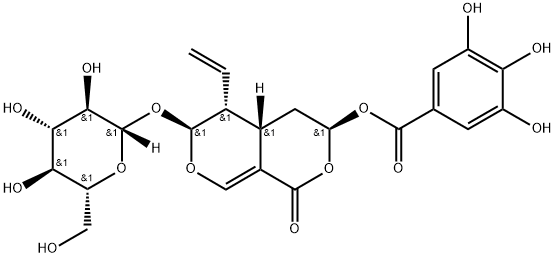 7α-Galloyloxysweroside Structure