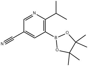 2-(iso-Propyl-5-cyanopyridine-3-boronic acid pinacol ester 구조식 이미지