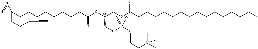 3,5,9-Trioxa-4-phosphapentacosan-1-aminium, 4-hydroxy-N,N,N-trimethyl-10-oxo-7-[[1-oxo-9-[3-(4-pentyn-1-yl)-3H-diazirin-3-yl]nonyl]oxy]-, inner salt, 4-oxide, (7R)- Structure