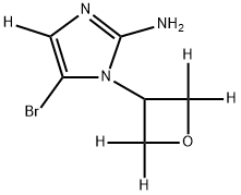 5-bromo-1-(oxetan-3-yl-2,2,4,4-d4)-1H-imidazol-4-d-2-amine Structure