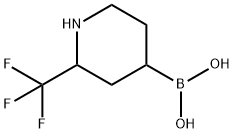 [2-(Trifluoromethyl)piperidin-4-yl]boronic acid Structure