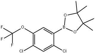 2,4-Dichloro-5-(trifluoromethoxy)phenylboronic acid, pinacol ester 구조식 이미지
