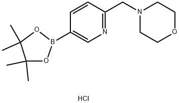 2-Morpholinopyridine-5-boronic acid pinacol ester, HCl Structure