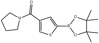 4-(Pyrrolidinocarbonyl)thiophene-2-boronic acid pinacol ester Structure