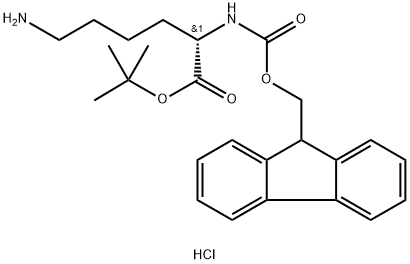 Fmoc-Lys-OtBu.HCl Structure