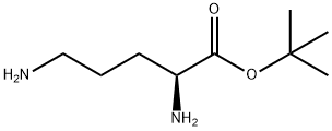 L-Ornithine, 1,1-dimethylethyl ester 구조식 이미지