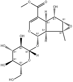 Phlorigidoside C Structure