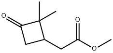 Cyclobutaneacetic acid, 2,2-dimethyl-3-oxo-, methyl ester 구조식 이미지